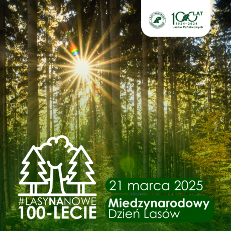 Lasy na nowe 100lecie